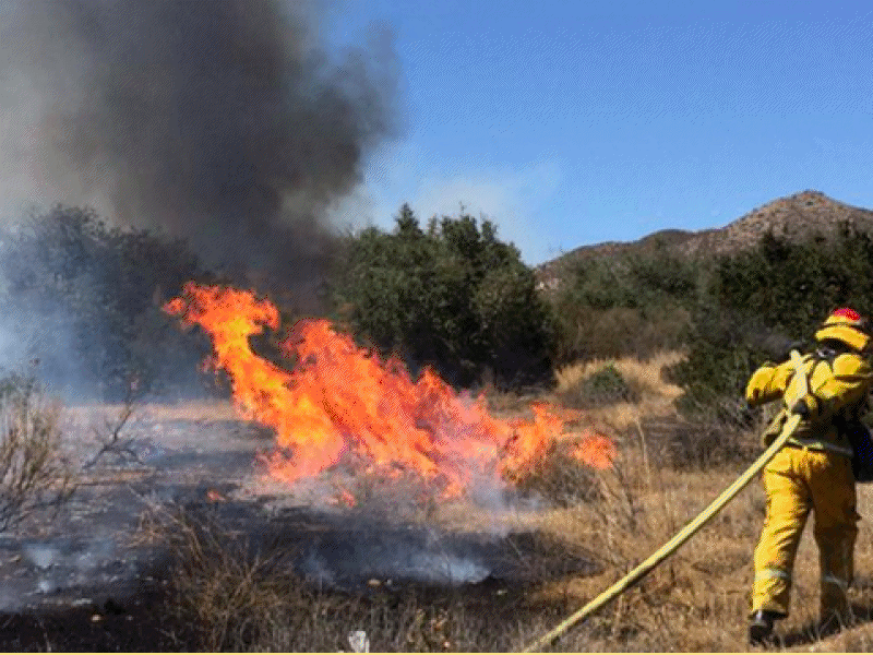 15 Freeway Reopens After Wildfire Sends Drivers Running for Life