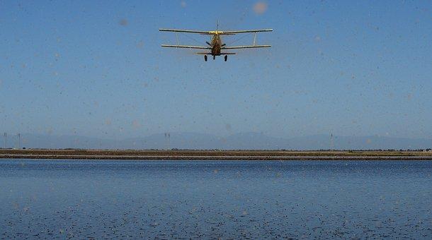 Biggs California. The U.S. rice industry could benefit from normalized relations with Cuba