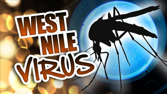 West Nile Virus Detected in Franklin County - NBC Right Now/KNDO/KNDU Tri