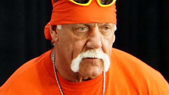 Hulk Hogan's Privacy Lawsuit against Gawker Set for 2016 story image