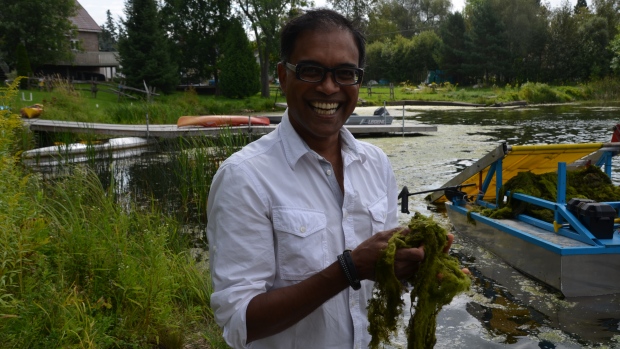 Researcher Charles Ramcharan and one of his students have been studying some of the factors that cause blue-green algae blooms. Ramcharan says development on the lake seems to be causing more blue-green algae