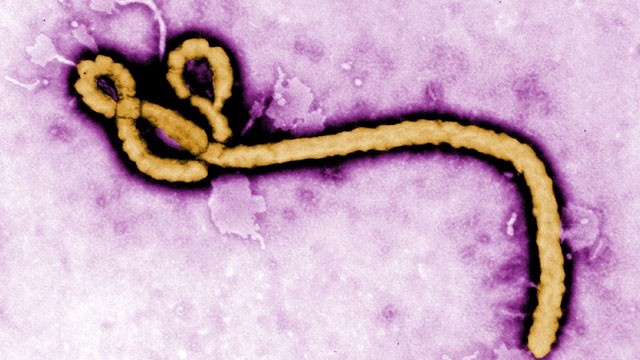 Liberia announces fresh Ebola death