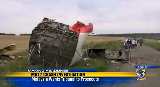 Malaysia submitting resolution to U.N. over flight shot down over Ukraine story image