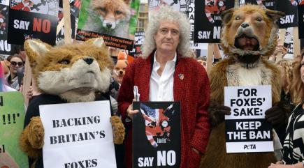 We need fox hunting to be kicked out for ever says Brian May after Goverment vote is postponed