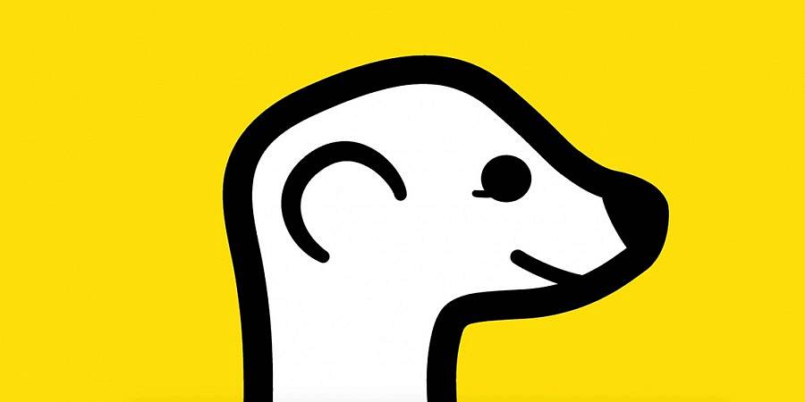 Meerkat introduces Cameo a new feature that lets others invade your stream