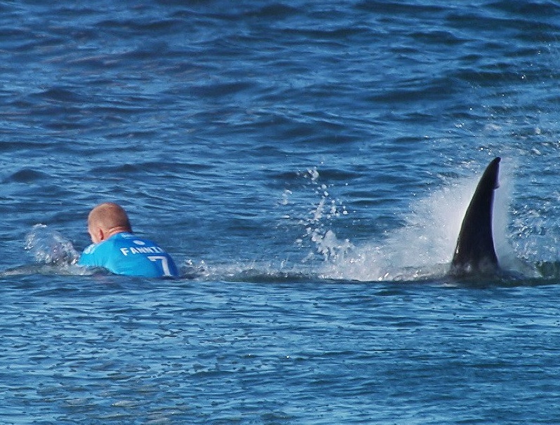 Mick Fanning's first encounter with a shark