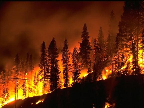 184 active wildfires in province 27 started yesterday alone