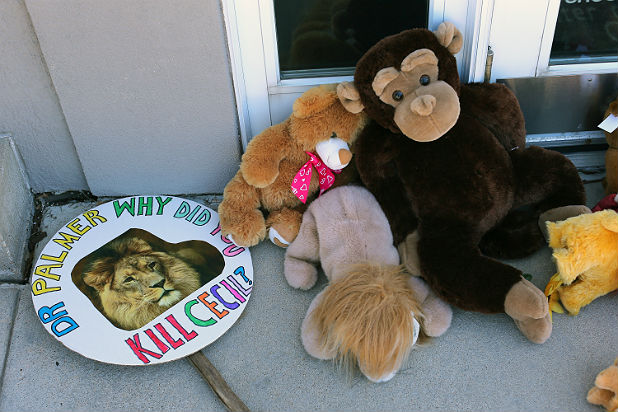 Cecil the Lion Shrine