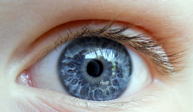 Blue-Eyed Boozehounds Can Now Blame Genetics, Study Says