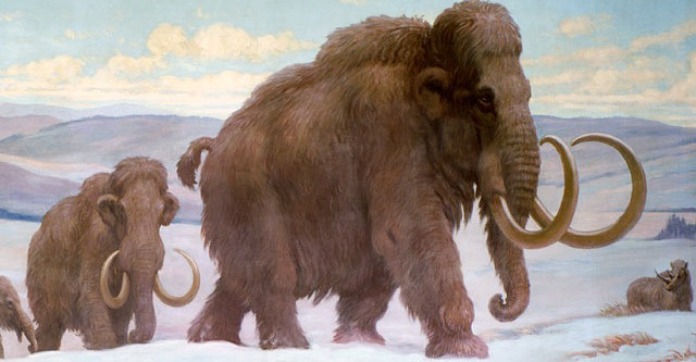 Cloning of woolly mammoth edges closer after scientists unveil complete DNA of