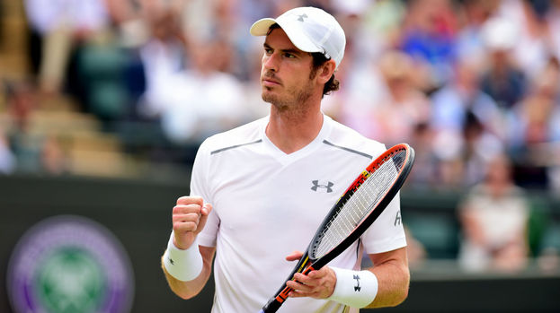 Robin Haase Andy Murray Wimbledon 2015