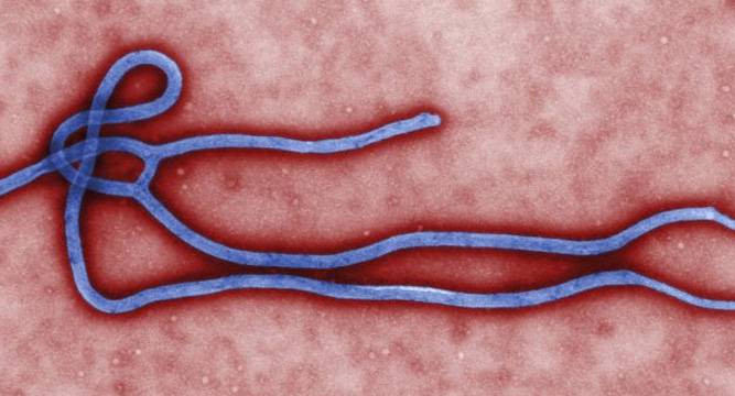 Ebola-hit countries seek billions for recovery at UN