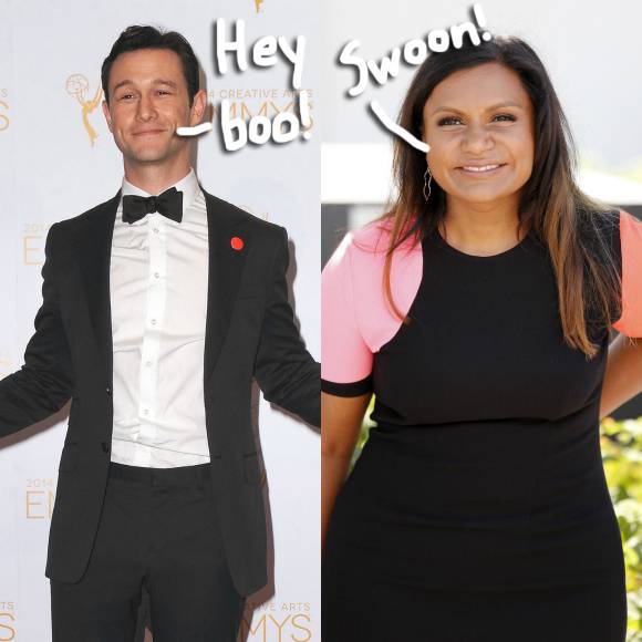 'The Mindy Project': Joseph Gordon-Levitt in Season 4 Cast | TVLine