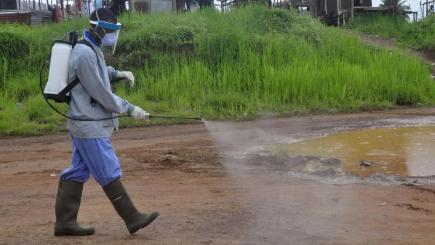 Health workers spray disinfectant on a road near the home of a 17-year old boy that died from the Ebola virus on the outskirts of Monrovia Liberia