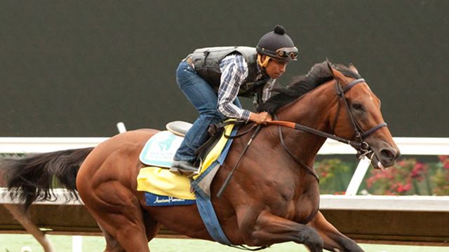 NJ Transit adding trains for American Pharoah race - Times Union