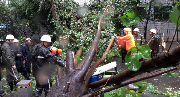 China on “Highest Alert” as Super Typhoon Chan-hom Approaches Shanghai