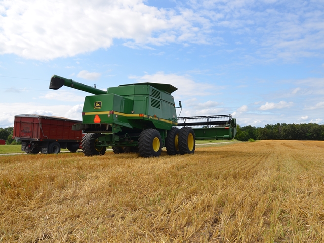 UPDATE 1-U.S. old-crop soy, corn stocks miss forecasts, prices soar | Reuters