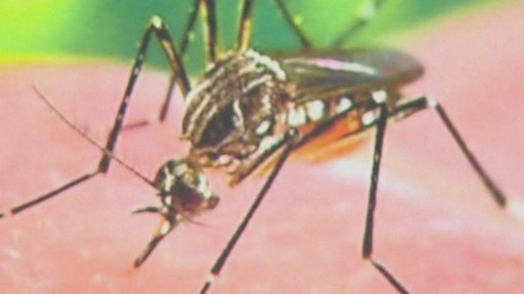 West Nile virus infection confirmed in Washington resident | Department of