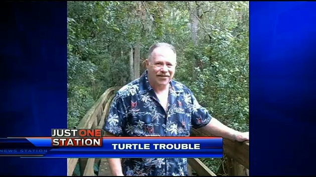 Man attacks sea turtle nest, shoots volunteer in Florida - UPI.com