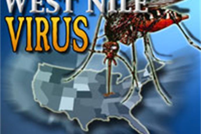 West Nile virus turns up in Ada County - KTVB.COM