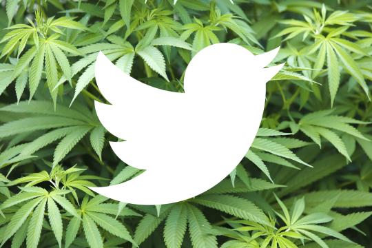 Florida Woman Tries to Buy Weed on Twitter Gets Reply From Cops