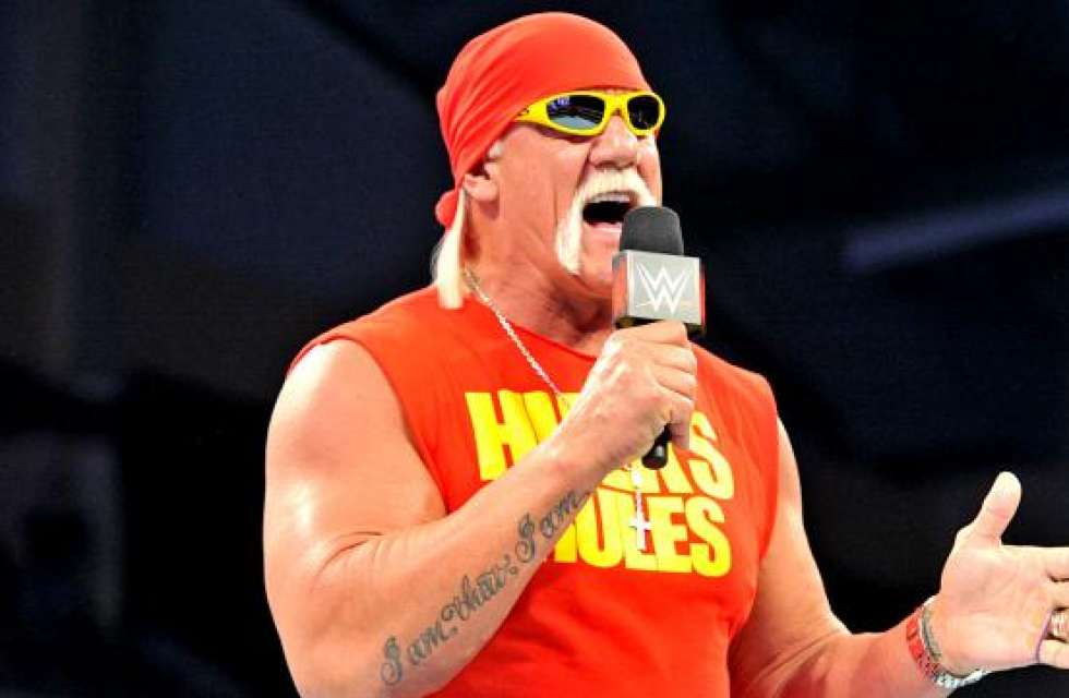 WWE Cut Ties with Hulk Hogan Following Racist Tirade - Cultured Vultures