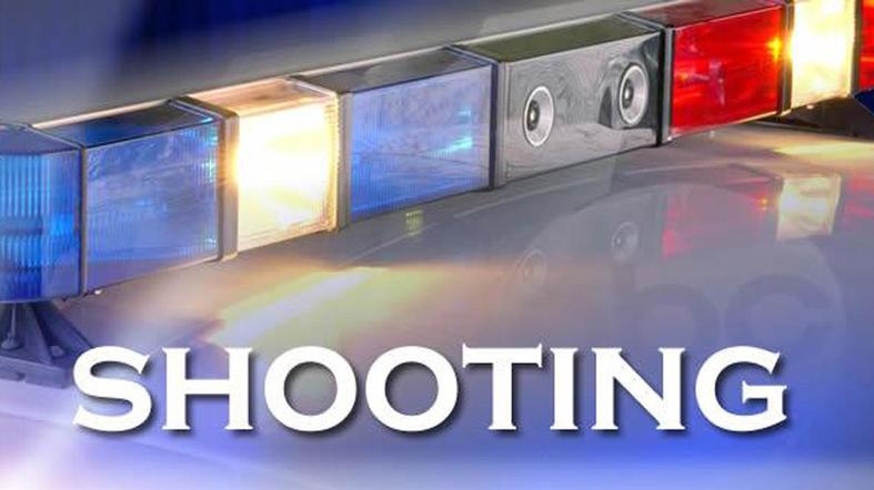 Manhunt underway in northern Penobscot County after four people shot