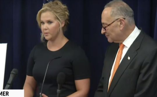 Amy Schumer calls for more gun control