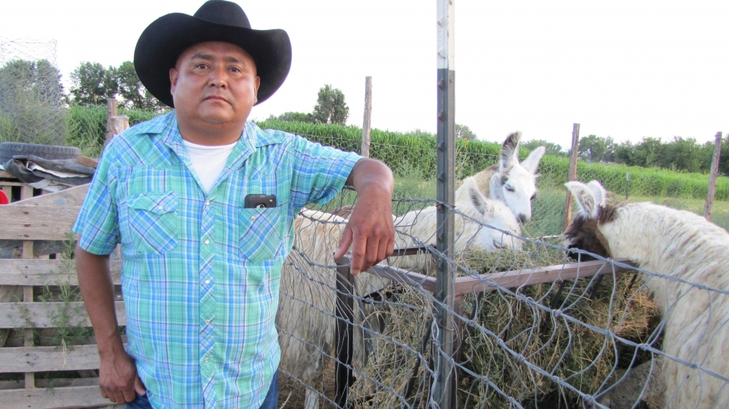 After the Animas River spill rancher Irving Shaggy is forced to travel a 70-mile round trip to get water for his livestock.'It's going to be a long struggle' he says. Laurel Morales  NPR