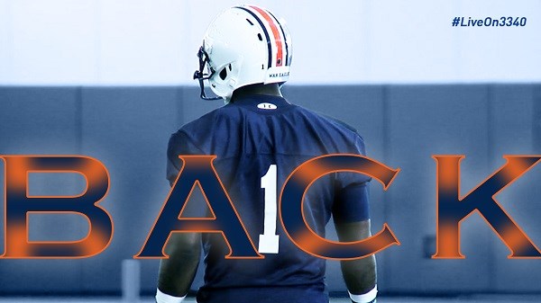 Auburn coach Gus Malzahn has reinstated wide receiver D'haquille Williams from suspension