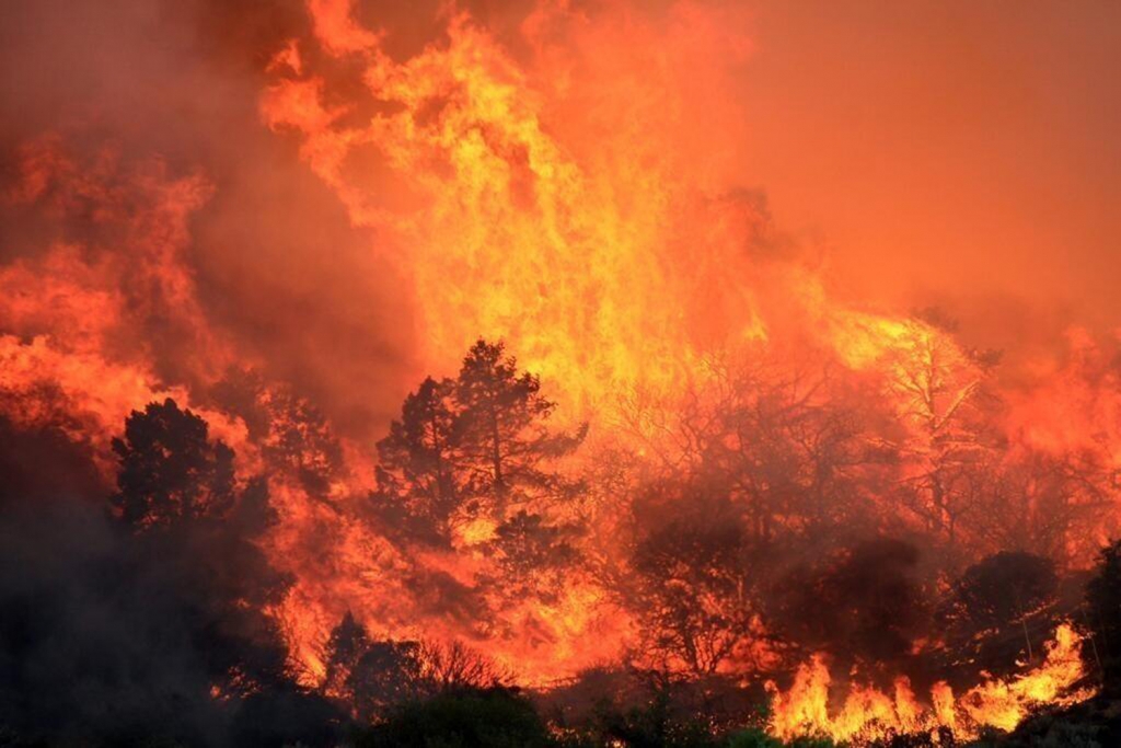 California declared a state of emergency as wildfires continue to blaze. The San Francisco News