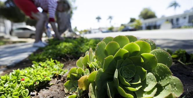 Californians divided along party lines on combating climate change