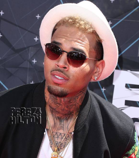 Chris Brown: Irresponsible Dad to Royalty, Nia Guzman Wants Full Custody