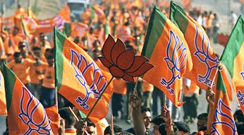 Madhya Pradesh civic body polls: BJP registers victory, clean sweeps rival