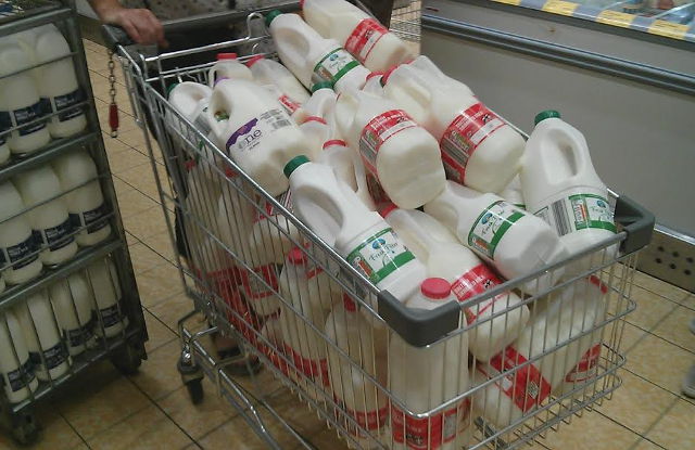 Cows In Supermarket As Emergency Summit Held