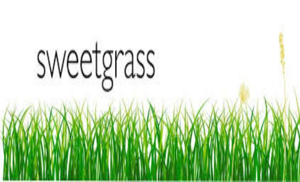 Sweetgrass Oil Repels Mosquitoes as Well as Deet