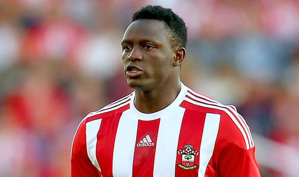 Wanyama