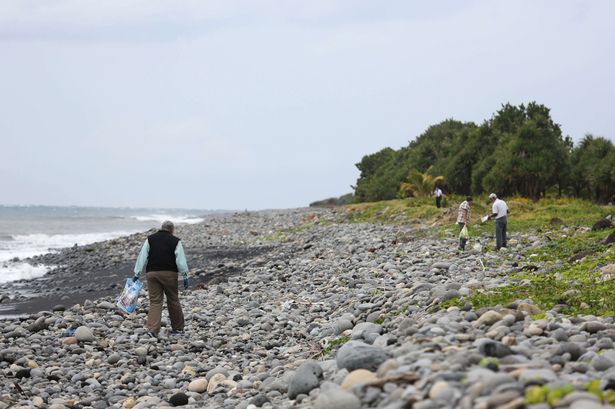 MH370 debris search