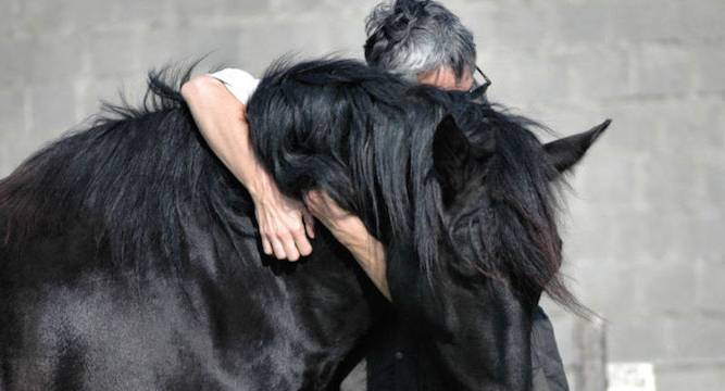 Humans and horses share expression bond