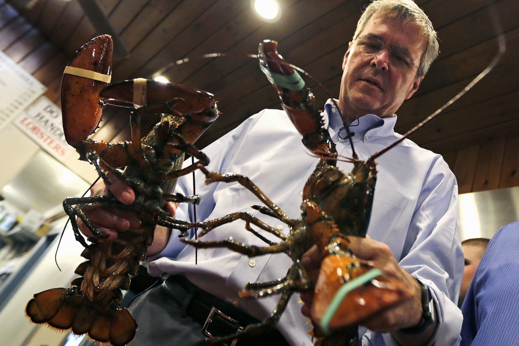 Jeb Bush holds up two lobsters during a campaign stop at Brown’s Lobster Pound in Seabrook N.H. on Aug