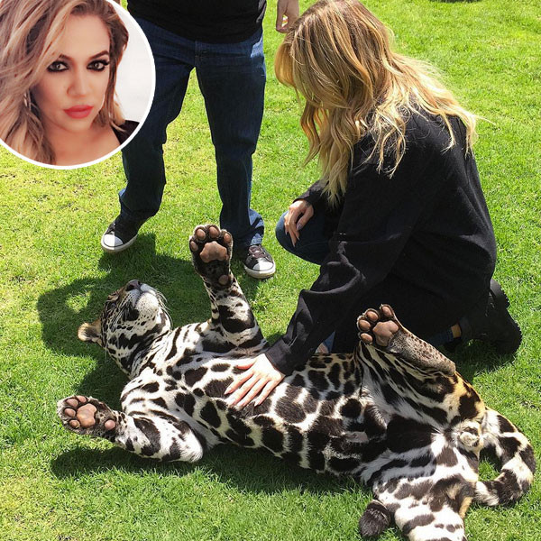 Khloe Kardashian Jaguar