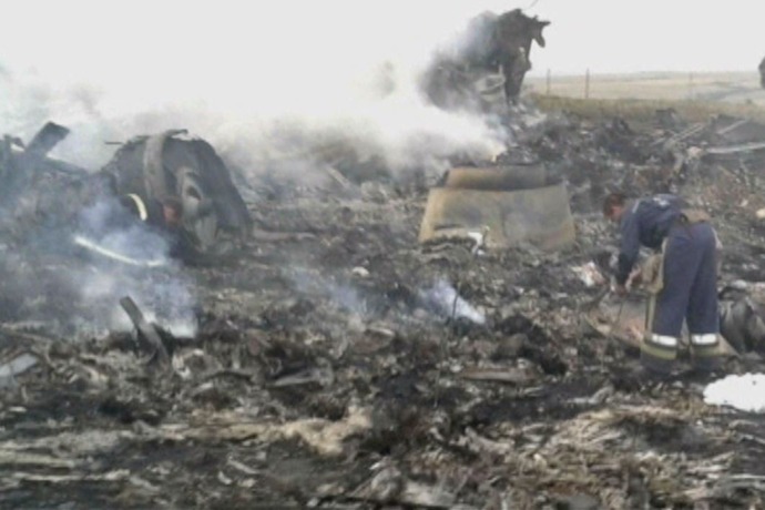 Malaysia Airlines flight crash scene in Ukraine