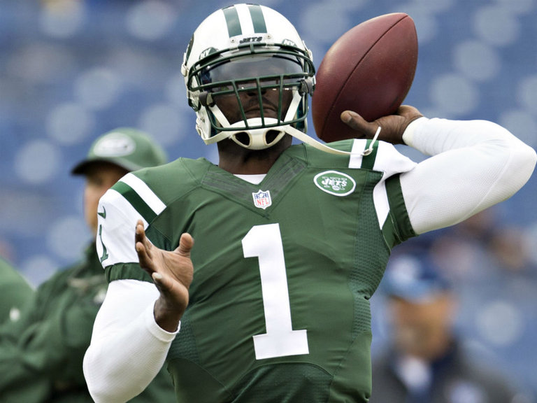 Michael Vick has been signed by the Steelers