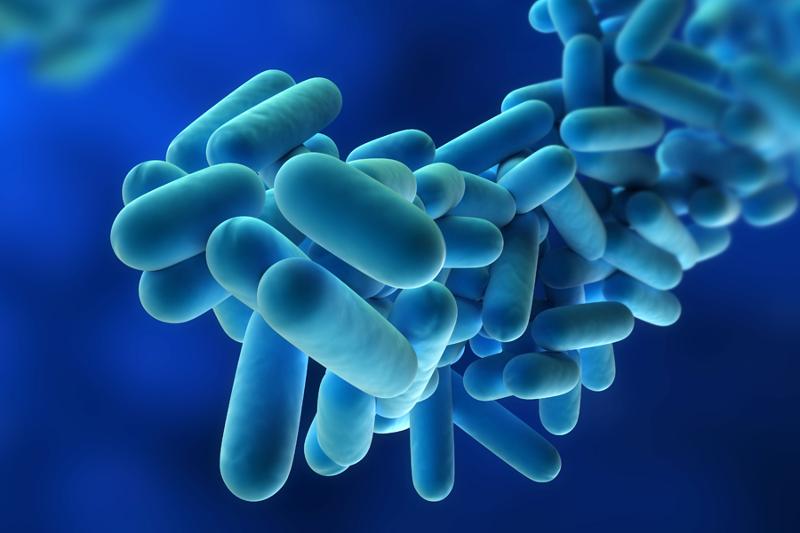 NY Legionnaires' Disease Death Toll Rises to 7