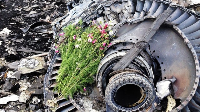 MH17 crash site 3