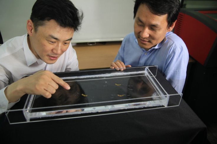 Scientists Develop Robotic Insect That Can Jump On The Surface Of The Water