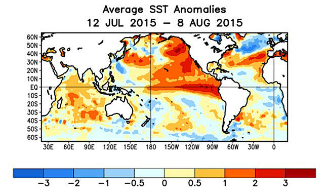 Sea surface temperature anomalies in degrees Celsius show the El NiÃ±o as the dark red band across the equatorial Pacific