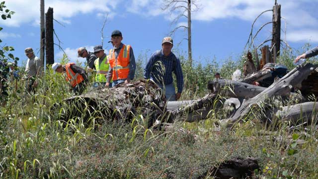 Search continues for missing 5-year-old boy in Arizona