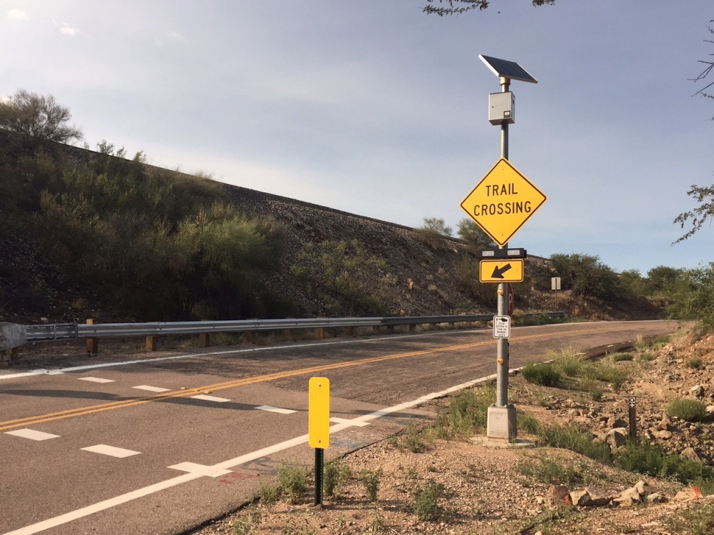 Let's bounce! Authorities searching for escaped kangaroos in Arizona