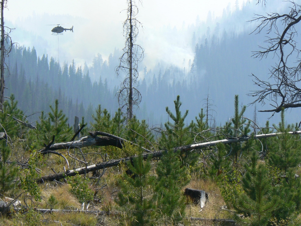 The Cougar Fire near Warm Lake is providing some of the smoke affecting Idaho